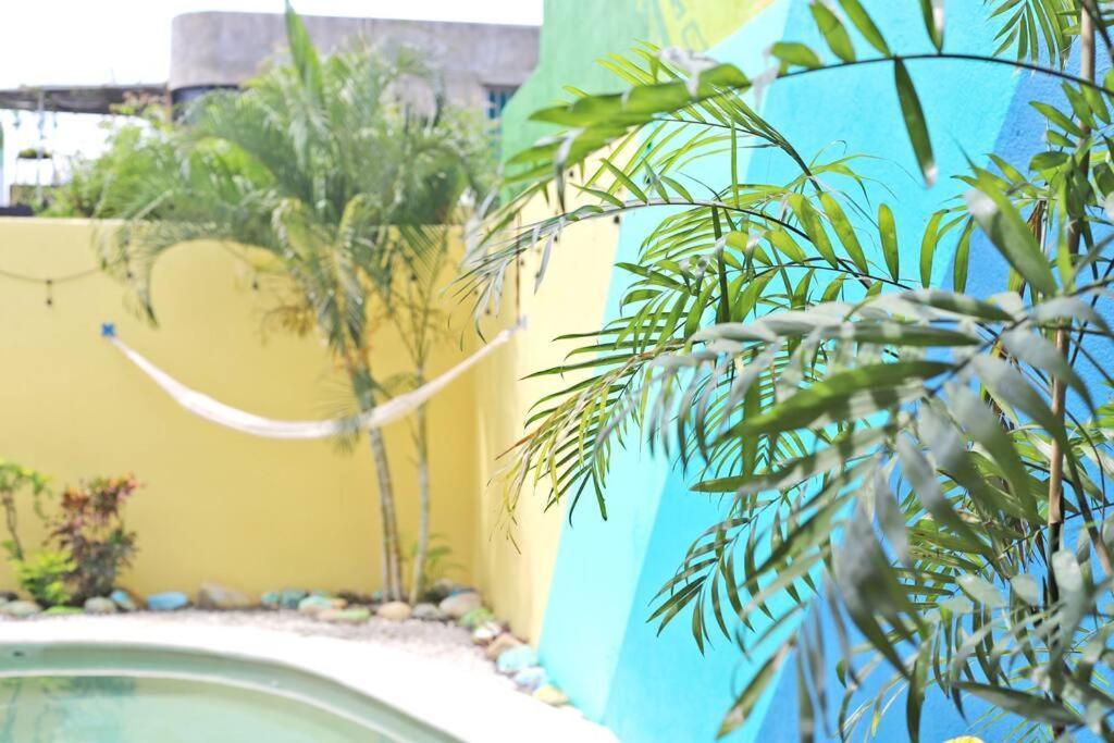 Studio -Trees At Mikasa- Near Beach, Pool, Fast Wifi, Ac & King Bed Puerto Escondido  Dış mekan fotoğraf